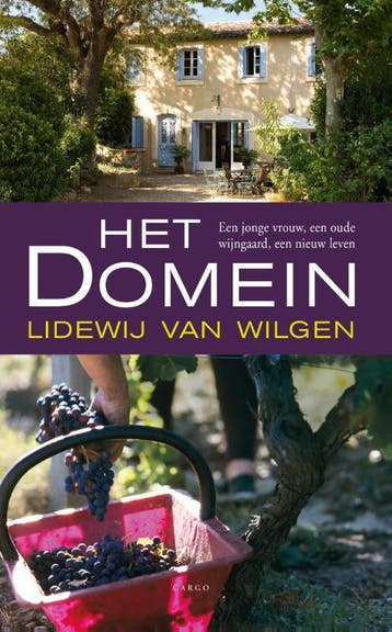 Het domein 9789023493426 Lidewij van Wilgen, Verzenden, Zo goed als nieuw, Lidewij van Wilgen