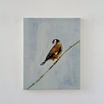 Matthieu van Riel - Distelvink