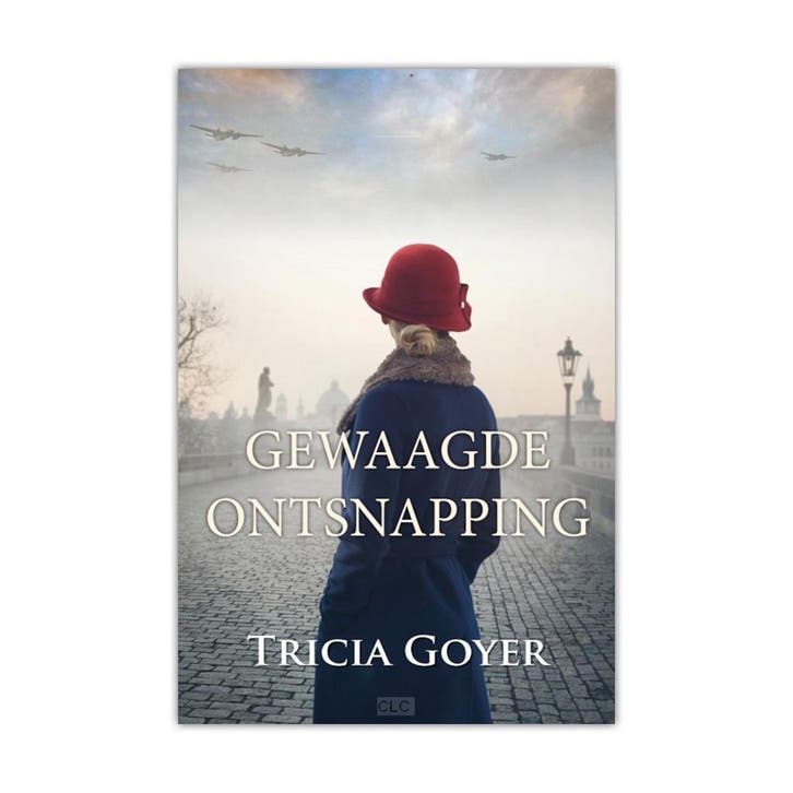 Gewaagde Ontsnapping - Tricia Goyer (Midprice) 9789493208179, Livres, Romans historiques, Envoi