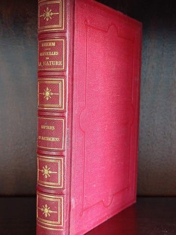 A. E. Brehm - Reptiles et batraciens - 1880