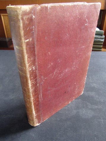 Collectif - Journal des Demoiselles - 1854