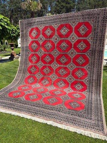 Top Pakistan tapijt lijkt op kasjmier. - Tapijt - 330 cm -, Nieuw