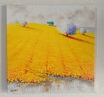 Roberto Mauri (1977) - Sinfonia di Giallo e Lavanda