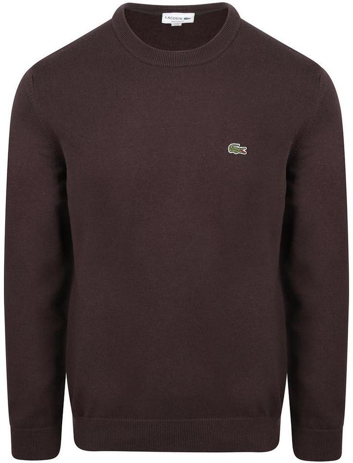 Lacoste Pullover Bruin maat Maat 52/54 (L) Heren, Vêtements | Hommes, Pulls & Vestes, Envoi