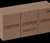 Oasis® naturebase bio floral foam brick per blok biologisch, Maison & Meubles