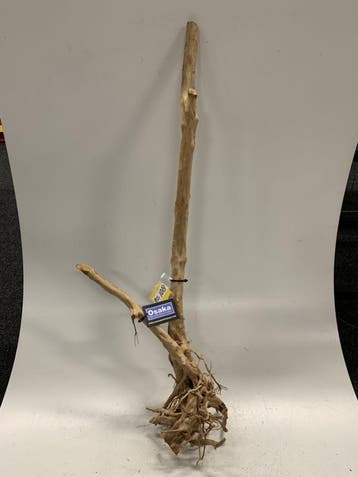 Boutique Stump Selected BS108 - 103x16x36cm, Ophalen of Verzenden, Plant(en), Steen of Hout