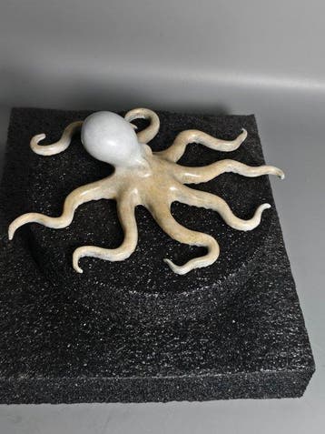 Decoratief ornament - zeeleven