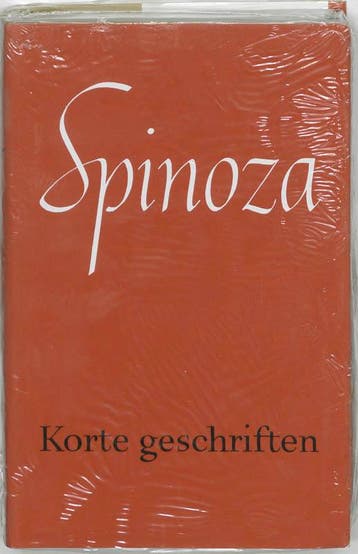 Korte geschriften / Werken van B. de Spinoza 9789028414648, Verzenden, Gelezen, Guido Joost van Suchtelen