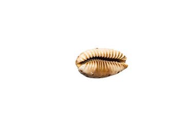 bijzonder patroon $$$ GEM $$$ Topstaat $$$ zeldzaam/RARE -, Nieuw