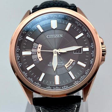 Citizen - Eco-Drive Radio Controlled Perpetual Calendar