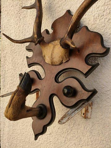 Trophée de chasse