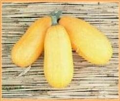 Goldetti F1 Orangetti Spaghettipompoen koolhydraatarm, Hobby en Vrije tijd, Knutselen, Nieuw