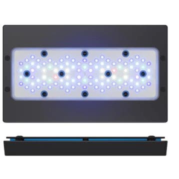 Ecotech Radion XR30 G5 Blue (Uitverkoop!), Animaux & Accessoires, Verzenden