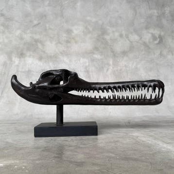 Sculpture, Brown Gharial Crocodile Skull, on custom stand -