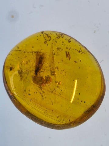 Ambre de Birmanie - Ambre - Collection of Three Burmese