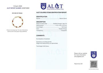 Sans prix de réserve - Bracelet Argent - Garnet - Certifié