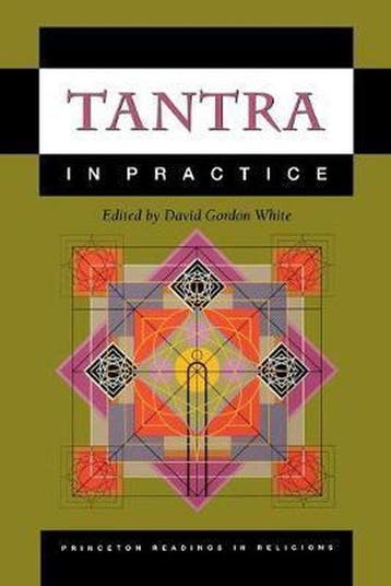 Tantra in Practice 9780691057798 David Gordon White, Verzenden, Gelezen, David Gordon White