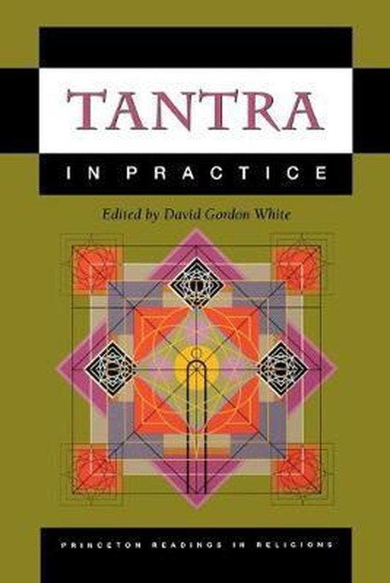 Tantra in Practice 9780691057798 David Gordon White, Boeken, Taal | Engels, Gelezen, Verzenden
