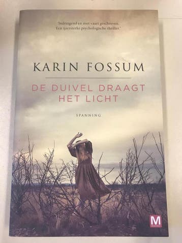 De duivel draagt het licht. 9789460685279 Karin Fossum, Verzenden, Gelezen, Karin Fossum