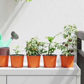 vidaXL Ronde Bloempot 200 st Terracotta Ø 10 x 8 cm, Tuin en Terras, Bloempotten, Verzenden, Nieuw