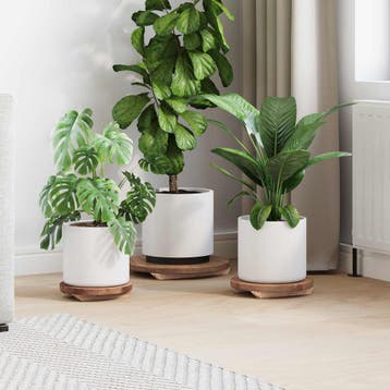 vidaXL Plantenkruk 3 st Naturel 29 x 29 x 3,5 cm Mahonie, Verzenden