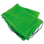 Carpoint Aanhangernet Fijnmazig 160x250cm, Verzenden