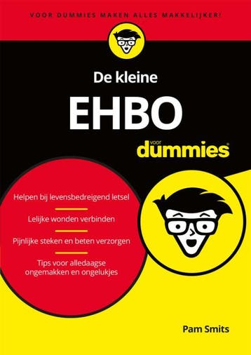 De kleine EHBO voor dummies 9789045355559 Pam Smits, Verzenden, Gelezen, Pam Smits