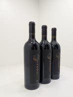 2020 Bodegas Pinea del Duero, Pinea - Ribera del Duero - 3, Collections