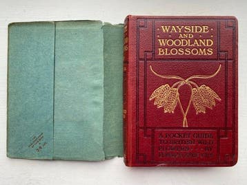 Edward Step - Wayside Woodland Blossoms & Trees with 145