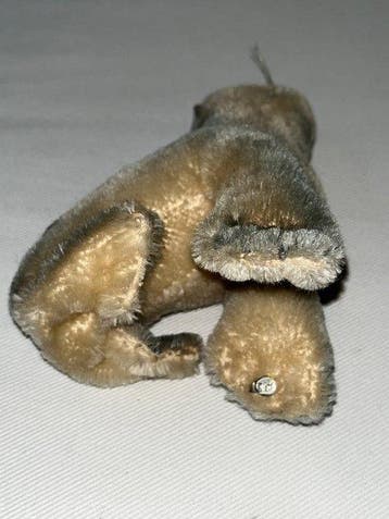 Steiff - Pluche speelgoed Seehund - 1950-1960 - Duitsland