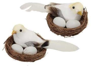 Vogelnestjes met 1 vogel en 2 eitjes wit pastelgeel 7.5 cm, Nieuw