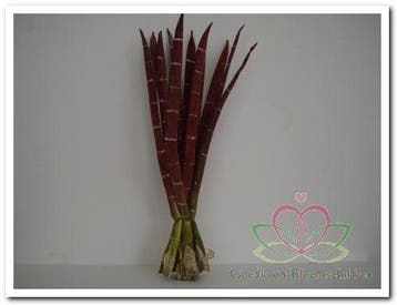 Exotic Stripe Bundel Rusty + Groen Foamblad, Huis en Inrichting, Nieuw