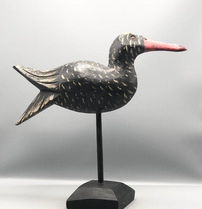 Lokeend - Huîtrier pie - Oystercatcher - Hout, Antiek en Kunst, Curiosa en Brocante