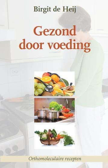 Gezond door voeding 9789057871788 Birgit de Heij, Boeken, Verzenden, Gelezen, Birgit de Heij