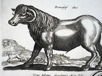 Matthäus Merian (1593-1650) - Hand-col. Folio: European