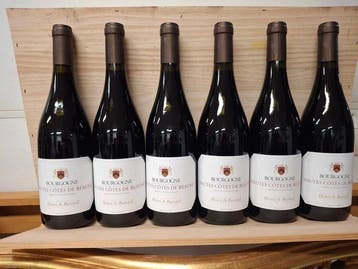 2023 Henri de Bareuil - Hautes Côtes de Beaune - - 6, Collections, Vins