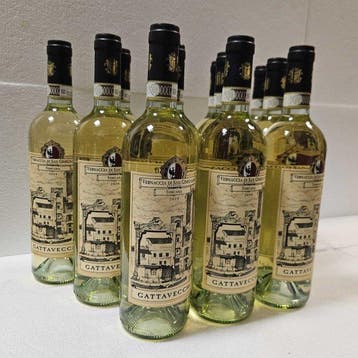 2024 Cantina Gattavecchi ,Vernaccia di San Gimignano -, Verzamelen, Nieuw