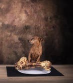 Madison - “Desigual”.