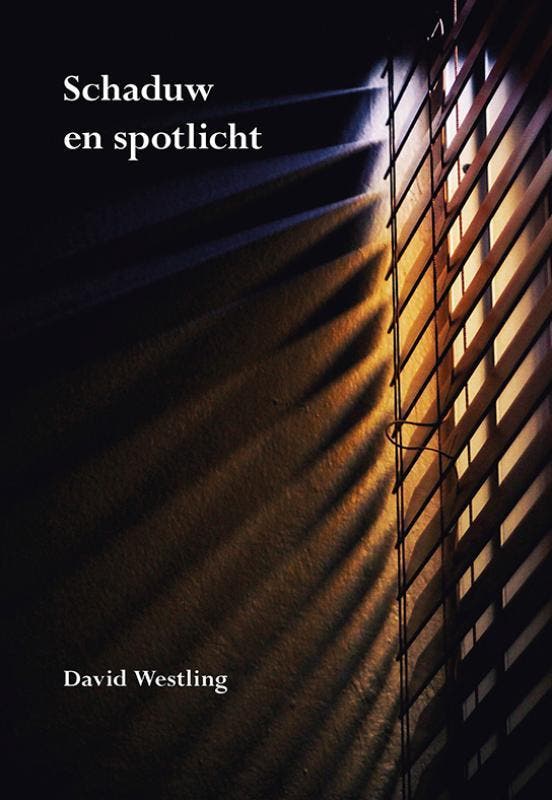 Schaduw en spotlicht 9789463654753 David Westling, Boeken, Literatuur, Zo goed als nieuw, Verzenden