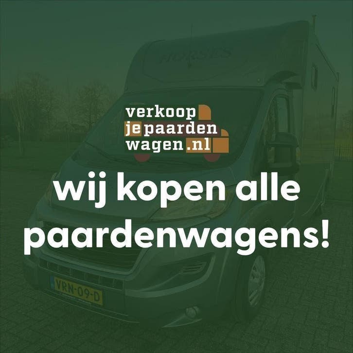 Wij kopen alle Fiat paardencamionettes! Alle leeftijden!, Dieren en Toebehoren, Paarden en Pony's | Trailers en Aanhangwagens