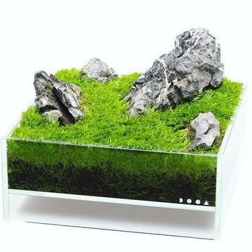 DOOA Neo Glass AIR, Dieren en Toebehoren, Verzenden, Nieuw