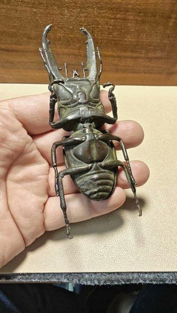 Annosuke Stag Beetle Copper Incense Box - Snijwerk Koper -