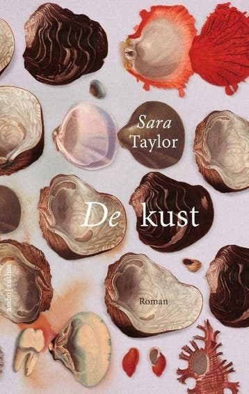 De kust (9789026333101, Sara Taylor), Verzenden, Nieuw