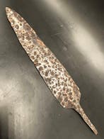Médiéval Fer Fer de lance - 25 cm (Sans prix de réserve)