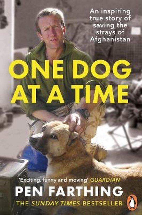 One Dog at a Time 9780091928810 Pen Farthing, Boeken, Taal | Engels, Gelezen, Verzenden