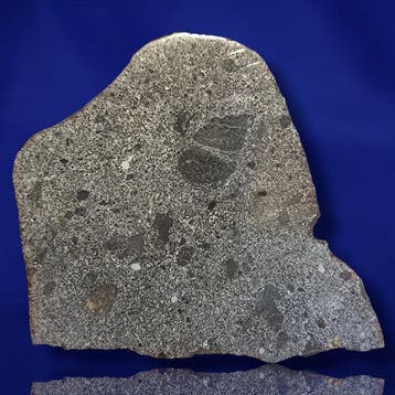-24,5 cm!!!- XXL Mésosidérite tranche. TNZ 091 (Algérie,
