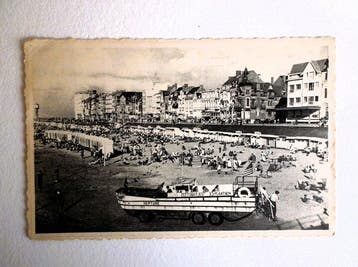 België - Maritiem - Hondentuig - Militaire - Blankenberge,