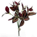 Tradescantia Bush Groen 33 cm