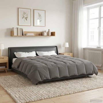 vidaXL Winter Duvet 240 x 260 cm Winter Microvezel (100%, Verzenden
