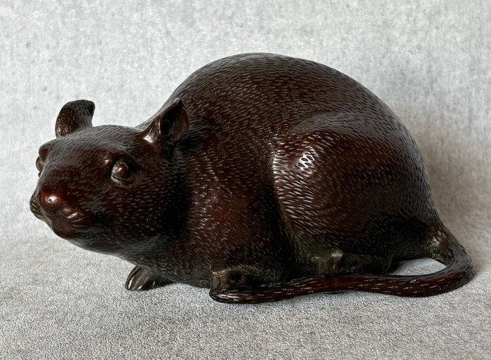 Beeld, Bronzen Rat 17.5 cm (Zonder Minimumprijs) - 10 cm -, Antiquités & Art, Curiosités & Brocante